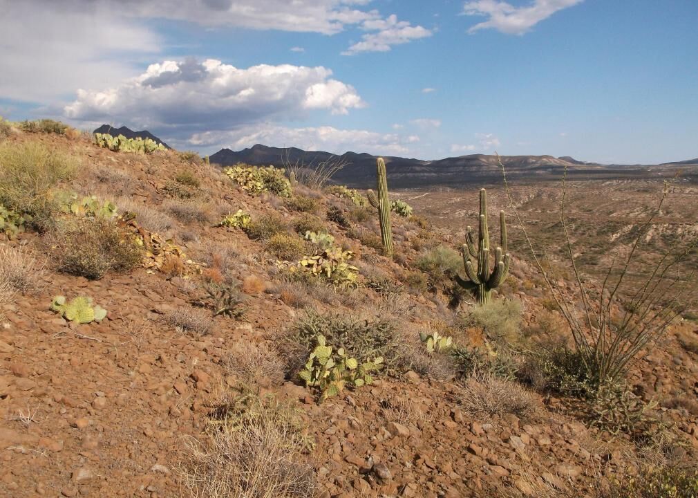 #24. Graham County, Arizona